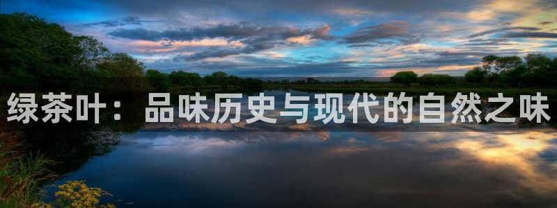 龙八国际b48点tv