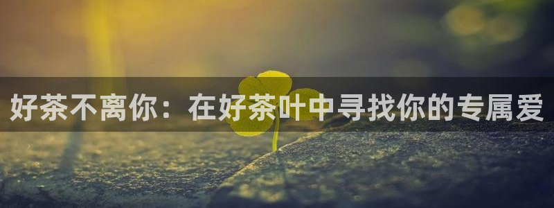 下载龙八国际官网