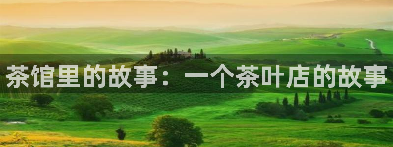 大英龙八国际