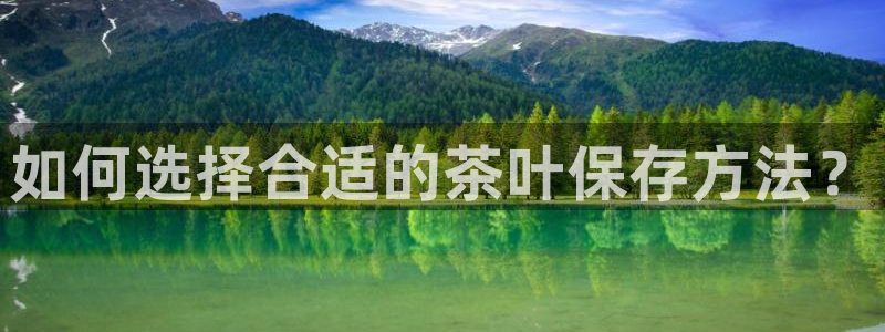 龙八国际app官方下载手机端