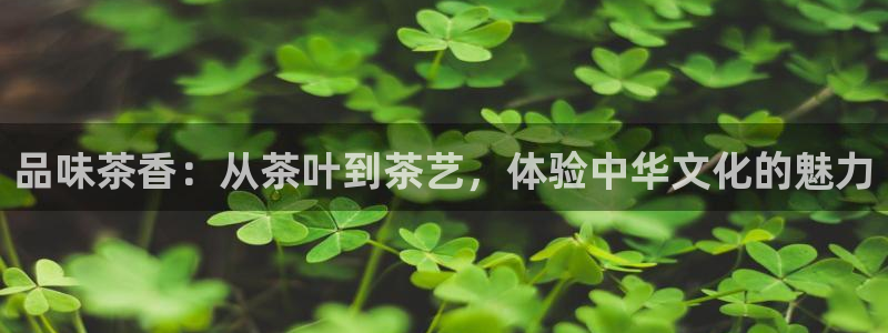 龙八国际mG