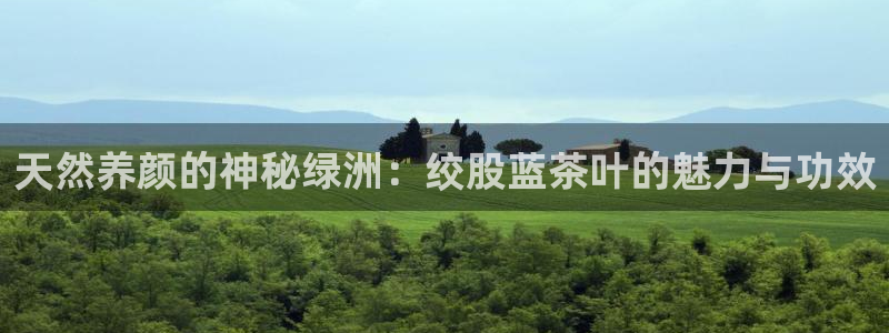 下载龙八国际手机版游戏